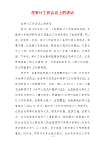 在审计工作会议上的讲话