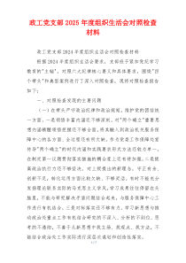 政工党支部2025年度组织生活会对照检查材料