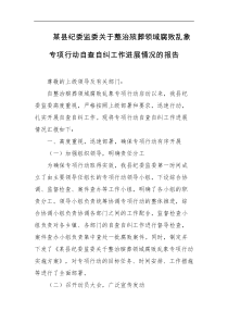 某县纪委监委关于整治殡葬领域腐败乱象专项行动自查自纠工作进展情况的报告