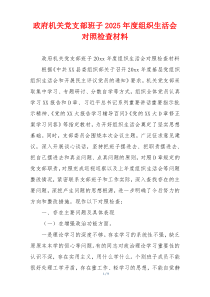 政府机关党支部班子2025年度组织生活会对照检查材料
