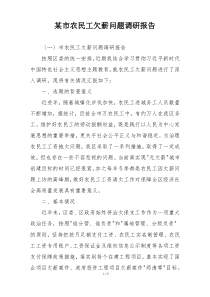 某市农民工欠薪问题调研报告