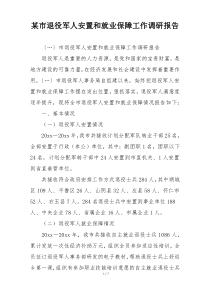 某市退役军人安置和就业保障工作调研报告