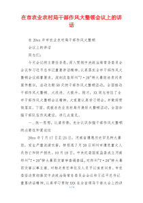 在市农业农村局干部作风大整顿会议上的讲话