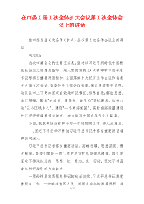 在市委X届X次全体扩大会议第X次全体会议上的讲话