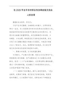 在2025年全市农村综合性改革经验交流会上的发言