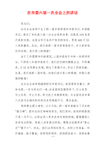 在市委六届一次全会上的讲话