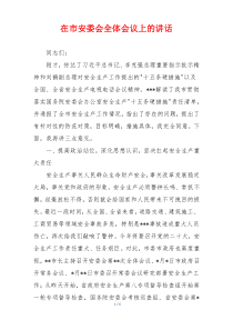 在市安委会全体会议上的讲话