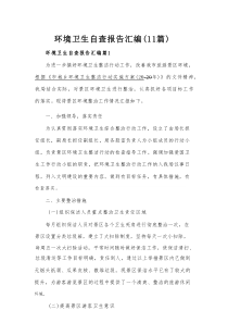 环境卫生自查报告汇编（11篇）