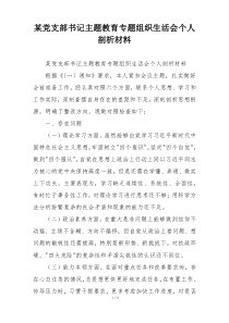 某党支部书记主题教育专题组织生活会个人剖析材料