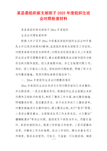 某县委组织部支部班子2025年度组织生活会对照检查材料
