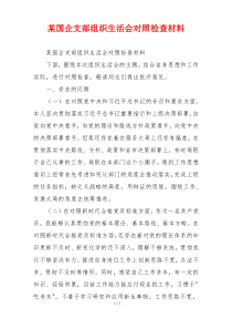 某国企支部组织生活会对照检查材料
