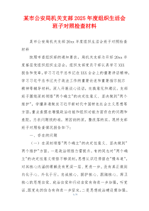 某市公安局机关支部2025年度组织生活会班子对照检查材料