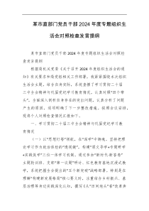 某市直部门党员干部2024年度专题组织生活会对照检查发言提纲