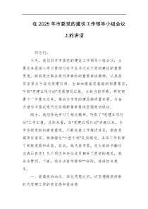 在2025年市委党的建设工作领导小组会议上的讲话