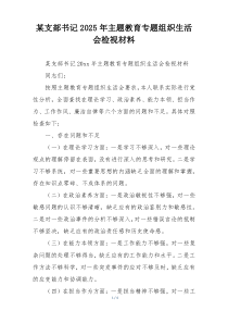某支部书记2025年主题教育专题组织生活会检视材料