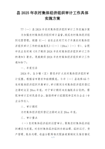 县2025年农村集体经济组织审计工作具体实施方案
