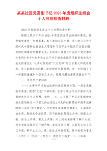 某某社区党委副书记2025年度组织生活会个人对照检查材料