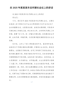 在2025年度某某市总河湖长会议上的讲话