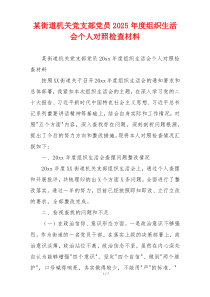 某街道机关党支部党员2025年度组织生活会个人对照检查材料