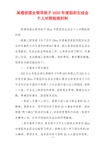 某通信国企领导班子2025年度组织生活会个人对照检视材料
