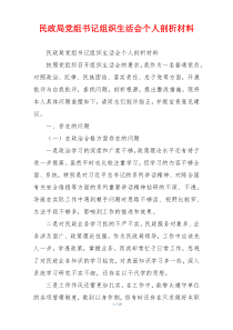 民政局党组书记组织生活会个人剖析材料
