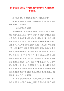 班子成员2025年度组织生活会个人对照检查材料