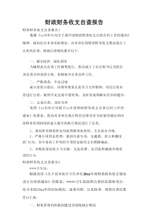 财政财务收支自查报告