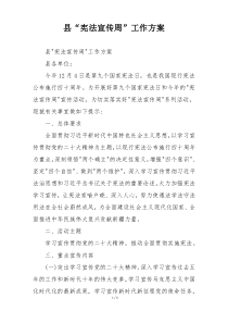 县“宪法宣传周”工作方案