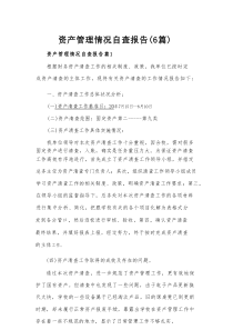 资产管理情况自查报告（6篇）