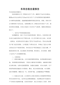 车间自检自查报告