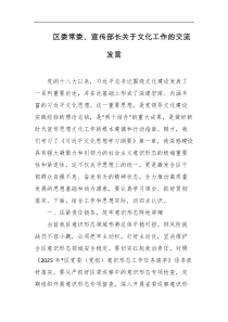 区委常委宣传部长关于文化工作的交流发言