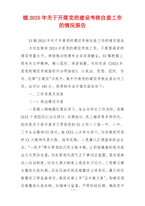 镇2025年关于开展党的建设考核自查工作的情况报告