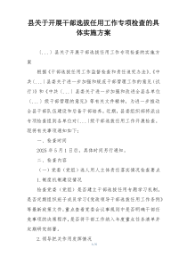 县关于开展干部选拔任用工作专项检查的具体实施方案