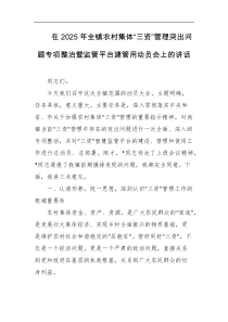 在2025年全镇农村集体三资管理突出问题专项整治暨监管平台建管用动员会上的讲话