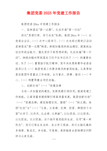 集团党委2025年党建工作报告