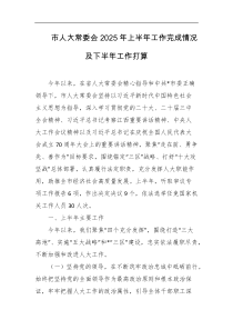 市人大常委会2025年上半年工作完成情况及下半年工作打算