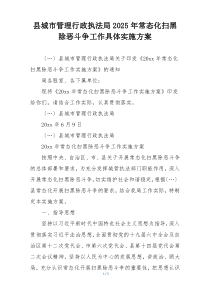 县城市管理行政执法局2025年常态化扫黑除恶斗争工作具体实施方案