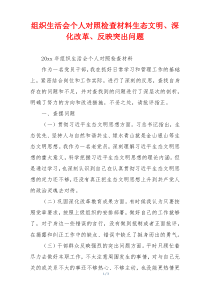 组织生活会个人对照检查材料生态文明、深化改革、反映突出问题