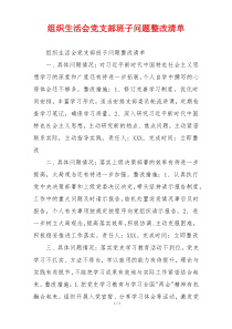 组织生活会党支部班子问题整改清单