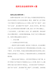 组织生活会剖析材料4篇