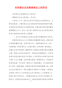 在民营企业发展座谈会上的讲话