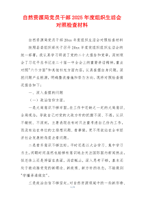 自然资源局党员干部2025年度组织生活会对照检查材料
