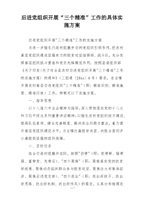 后进党组织开展“三个精准”工作的具体实施方案
