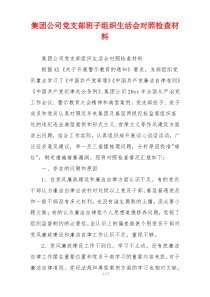 集团公司党支部班子组织生活会对照检查材料