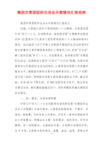 集团共青团组织生活会开展情况汇报范例