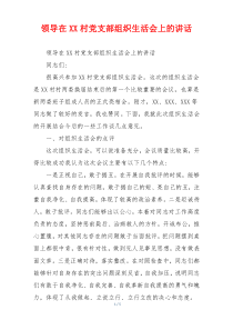 领导在XX村党支部组织生活会上的讲话