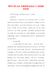 领导干部2025年度组织生活会个人检视剖析材料