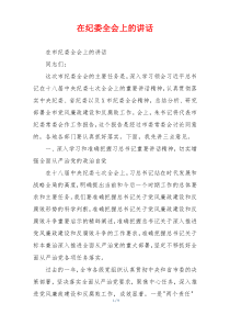 在纪委全会上的讲话