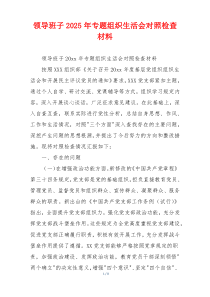 领导班子2025年专题组织生活会对照检查材料