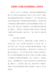 在组织工作重点任务推进会上的讲话